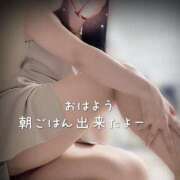 ヒメ日記 2025/09/30 07:33 投稿 柴咲 モアグループ大宮人妻花壇