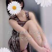 ヒメ日記 2025/10/17 06:24 投稿 柴咲 モアグループ大宮人妻花壇