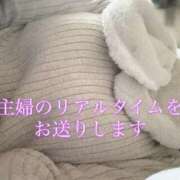 ヒメ日記 2025/11/03 20:03 投稿 柴咲 モアグループ大宮人妻花壇