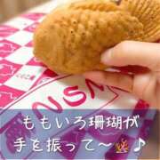 ヒメ日記 2025/11/19 17:48 投稿 柴咲 モアグループ大宮人妻花壇