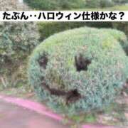 ヒメ日記 2025/11/23 21:03 投稿 柴咲 モアグループ大宮人妻花壇