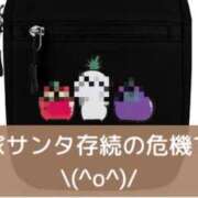 ヒメ日記 2025/11/30 17:48 投稿 柴咲 モアグループ大宮人妻花壇