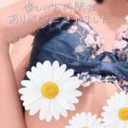 ヒメ日記 2026/01/24 18:03 投稿 柴咲 モアグループ大宮人妻花壇