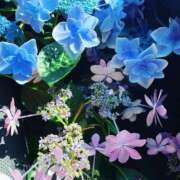 ヒメ日記 2025/02/07 19:32 投稿 みき 千姫(道後)