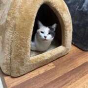 ヒメ日記 2025/03/03 19:48 投稿 みき 千姫(道後)