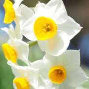 みき 悩んでるのが 千姫(道後)