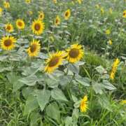 みき 26日のありがとう 千姫(道後)