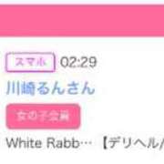 ヒメ日記 2024/09/26 03:15 投稿 白百合さな White Rabbit 横浜