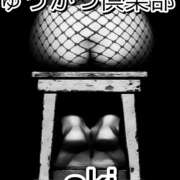 ヒメ日記 2025/04/12 12:38 投稿 あき しゅうかつ倶楽部