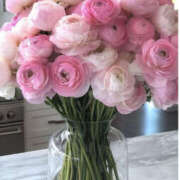 ヒメ日記 2025/05/07 09:27 投稿 あき しゅうかつ倶楽部