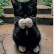 ヒメ日記 2025/05/25 09:36 投稿 あき しゅうかつ倶楽部