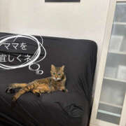 ヒメ日記 2025/08/15 05:11 投稿 あき しゅうかつ倶楽部