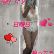 ヒメ日記 2026/02/05 11:42 投稿 あき しゅうかつ倶楽部