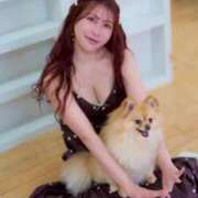 ヒメ日記 2025/04/07 21:15 投稿 まい オペラ(吉原)