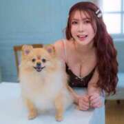 ヒメ日記 2025/04/10 09:05 投稿 まい オペラ(吉原)