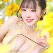 ヒメ日記 2025/06/29 08:52 投稿 まゆき オペラ(吉原)