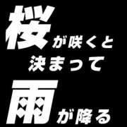 るい 桜が咲くと決まって雨が降る オペラ(吉原)