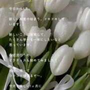 ヒメ日記 2025/04/01 00:35 投稿 わかば オペラ(吉原)