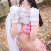 ヒメ日記 2025/11/08 10:11 投稿 わかば オペラ(吉原)