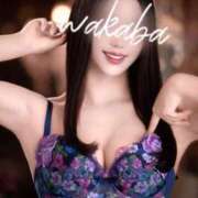 ヒメ日記 2025/11/13 12:11 投稿 わかば オペラ(吉原)