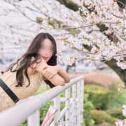 ヒメ日記 2026/04/05 13:12 投稿 わかば オペラ(吉原)