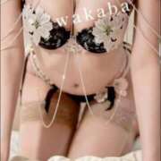 ヒメ日記 2026/04/16 17:12 投稿 わかば オペラ(吉原)