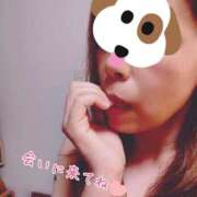 ヒメ日記 2025/04/30 16:27 投稿 せつな 熟女家 梅田店