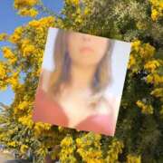 ヒメ日記 2026/03/01 14:37 投稿 せつな 熟女家 梅田店