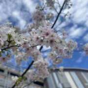 ヒメ日記 2025/04/06 20:30 投稿 みおり 神田添い寝女子