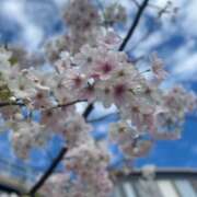 ヒメ日記 2025/04/09 00:08 投稿 みおり 神田添い寝女子