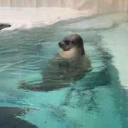 ヒメ日記 2025/03/01 13:02 投稿 まな 茨城ちゃんこ土浦つくば店