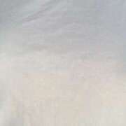 ヒメ日記 2025/04/15 15:01 投稿 まな 茨城ちゃんこ土浦つくば店