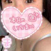 ヒメ日記 2025/04/25 13:01 投稿 まな 茨城ちゃんこ土浦つくば店