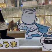 ヒメ日記 2025/05/17 13:15 投稿 まな 茨城ちゃんこ土浦つくば店