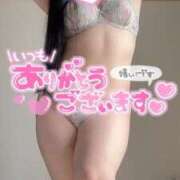 ヒメ日記 2025/05/23 17:01 投稿 まな 茨城ちゃんこ土浦つくば店