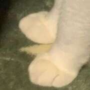 ヒメ日記 2025/05/27 11:34 投稿 まな 茨城ちゃんこ土浦つくば店