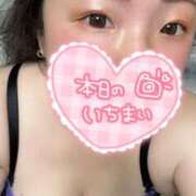 ヒメ日記 2025/07/03 03:30 投稿 まな 茨城ちゃんこ土浦つくば店