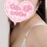 ヒメ日記 2025/07/24 21:00 投稿 まな 茨城ちゃんこ土浦つくば店