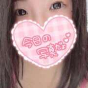 ヒメ日記 2025/07/28 21:00 投稿 まな 茨城ちゃんこ土浦つくば店