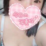 ヒメ日記 2025/08/01 02:45 投稿 まな 茨城ちゃんこ土浦つくば店