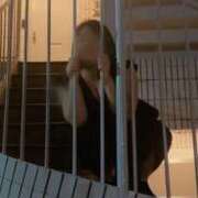 ヒメ日記 2025/11/19 20:21 投稿 まな 茨城ちゃんこ土浦つくば店