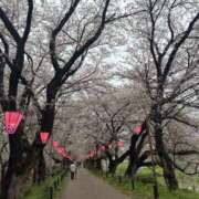 ヒメ日記 2026/04/06 12:02 投稿 まな 茨城ちゃんこ土浦つくば店