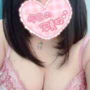 ヒメ日記 2026/04/13 15:00 投稿 まな 茨城ちゃんこ土浦つくば店