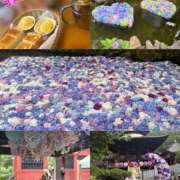 ヒメ日記 2026/06/26 12:01 投稿 まな 茨城ちゃんこ土浦つくば店