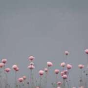 ヒメ日記 2024/12/17 01:00 投稿 かんな 沖縄素人図鑑