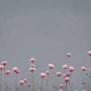 ヒメ日記 2025/01/22 22:21 投稿 かんな 沖縄素人図鑑