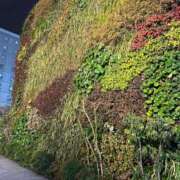 ヒメ日記 2025/03/05 02:48 投稿 かんな 沖縄素人図鑑