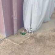 ヒメ日記 2025/04/10 19:39 投稿 かんな 沖縄素人図鑑