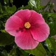 ヒメ日記 2025/05/06 22:03 投稿 かんな 沖縄素人図鑑