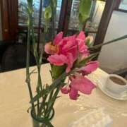 ヒメ日記 2025/05/20 02:48 投稿 かんな 沖縄素人図鑑